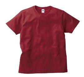 Tシャツ　プリント　アイパック　フェリック　TRUSS TRS-700