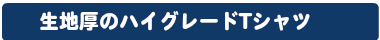 Tシャツ　プリント　アイパック