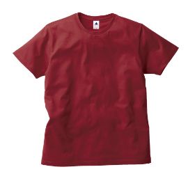 Tシャツ プリント アイパック フェリック TRUSS TRS-700