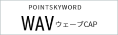 キャップ　プリント　アイパック　POINTSKYWORD  WAV