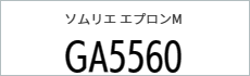 Tシャツ　プリント　アイパック　フェリック　GA5560