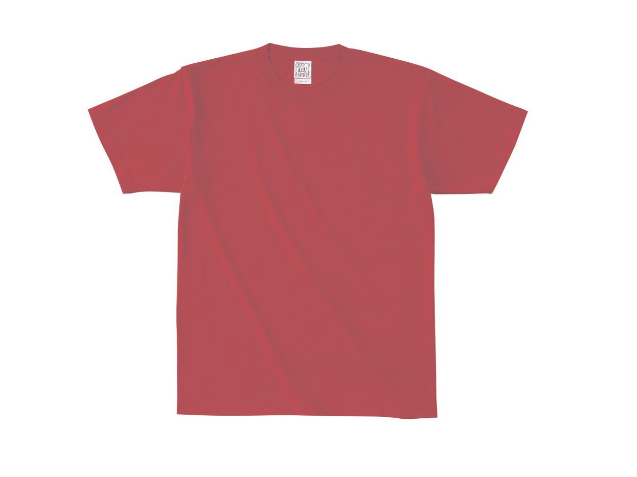 Tシャツ プリント アイパック フェリック OE1116