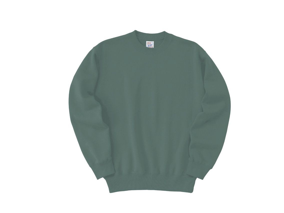 Tシャツ　プリント　アイパック　フェリック　SW2210